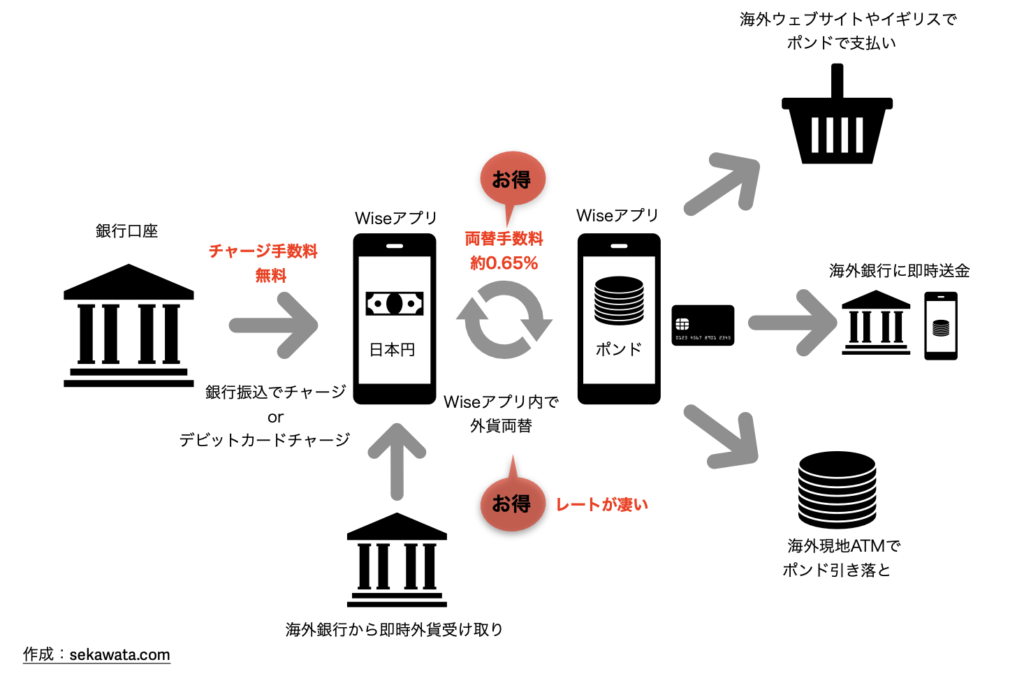 Wiseの解説図