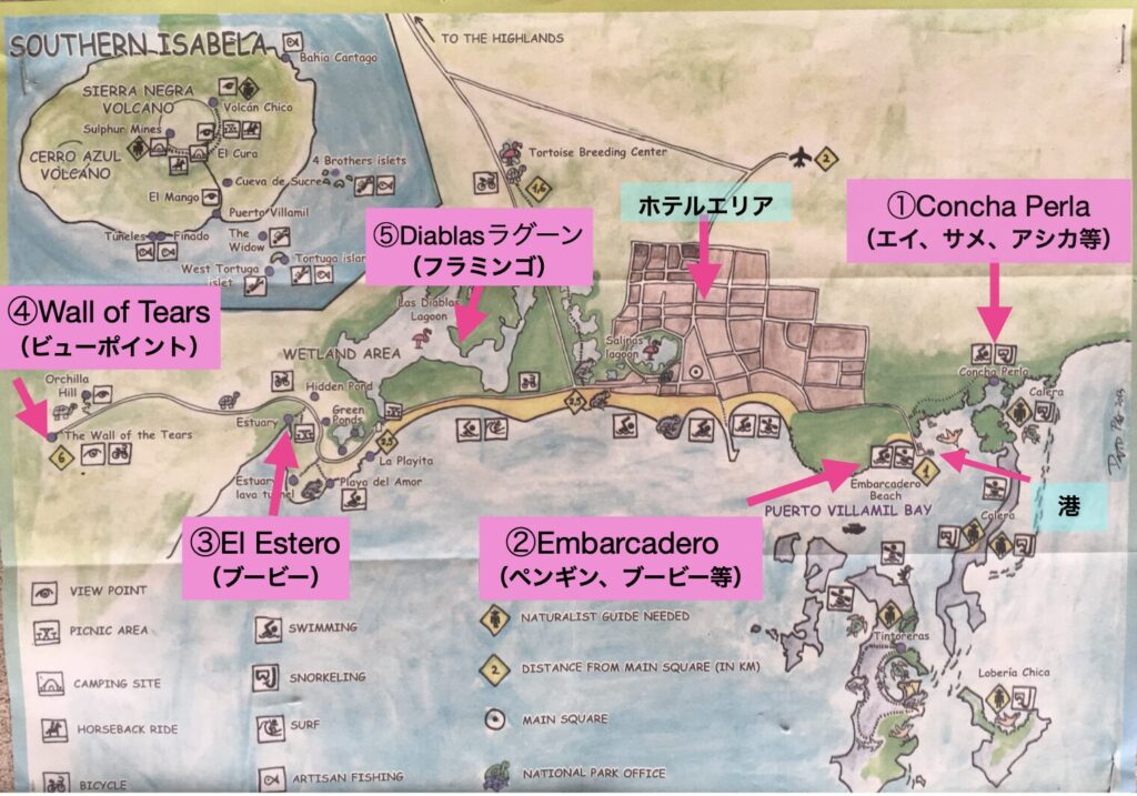 イザベラ島の動物が見れるポイントを書いたマップ